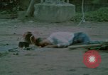 Image L'appui aérien maritime dans la guerre de Vietnam Vietnam, 1967, de la seconde 31 séquences d'archives historiques vidéo 65675046343