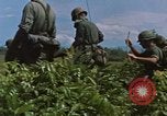 Image L'appui aérien maritime dans la guerre de Vietnam Vietnam, 1967, de la seconde 57 séquences d'archives historiques vidéo 65675046343
