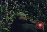 Image L'appui aérien maritime dans la guerre de Vietnam Vietnam, 1967, de la seconde 60 séquences d'archives historiques vidéo 65675046343
