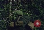 Image L'appui aérien maritime dans la guerre de Vietnam Vietnam, 1967, de la seconde 61 séquences d'archives historiques vidéo 65675046343