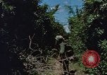 Standbild Marine Kräfte Vietnam, 1967, aus Sekunde 3 historischem Filmmaterial Videoclip 65675046346