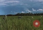 Standbild Marine Kräfte Vietnam, 1967, aus Sekunde 12 historischem Filmmaterial Videoclip 65675046346