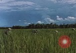 Standbild Marine Kräfte Vietnam, 1967, aus Sekunde 13 historischem Filmmaterial Videoclip 65675046346