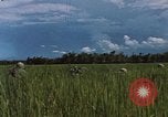 Standbild Marine Kräfte Vietnam, 1967, aus Sekunde 15 historischem Filmmaterial Videoclip 65675046346
