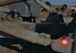 Image of students and navy United States USA, 1975, second 42 stock footage video 65675046353