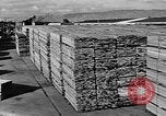 Image of Navy Port Terminal United States USA, 1951, second 42 stock footage video 65675046355
