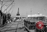 Image of Navy Port Terminal United States USA, 1951, second 55 stock footage video 65675046355