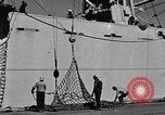 Standbild navy port terminal California United States USA, 1951, aus Sekunde 35 historischem Filmmaterial Videoclip 65675046358