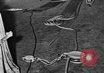 Image transférant du personnel United States USA, 1948, de la seconde 31 séquences d'archives historiques vidéo 65675046360