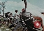 Image of Nazi prisoners Czechoslovakia, 1945, second 39 stock footage video 65675046382