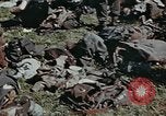 Image of Nazi prisoners Czechoslovakia, 1945, second 62 stock footage video 65675046382