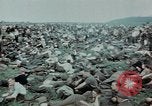 Image of surrendered Nazi soldiers Czechoslovakia, 1945, second 36 stock footage video 65675046384
