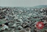 Image of surrendered Nazi soldiers Czechoslovakia, 1945, second 37 stock footage video 65675046384