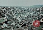 Image of surrendered Nazi soldiers Czechoslovakia, 1945, second 38 stock footage video 65675046384