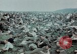 Image of surrendered Nazi soldiers Czechoslovakia, 1945, second 39 stock footage video 65675046384
