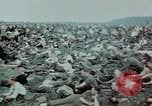 Image of surrendered Nazi soldiers Czechoslovakia, 1945, second 40 stock footage video 65675046384