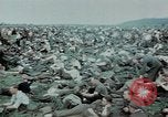 Image of surrendered Nazi soldiers Czechoslovakia, 1945, second 41 stock footage video 65675046384