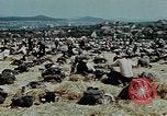 Image of German soldiers at end of World War 2 in Europe Czechoslovakia, 1945, second 17 stock footage video 65675046385