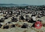 Image of German soldiers at end of World War 2 in Europe Czechoslovakia, 1945, second 19 stock footage video 65675046385