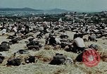 Image of German soldiers at end of World War 2 in Europe Czechoslovakia, 1945, second 20 stock footage video 65675046385