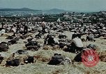 Image of German soldiers at end of World War 2 in Europe Czechoslovakia, 1945, second 22 stock footage video 65675046385