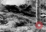 Immagine di Armi a mano United States USA, 1943, secondo 3 filmato di repertorio 65675046390