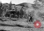 Immagine di Armi a mano United States USA, 1943, secondo 47 filmato di repertorio 65675046390