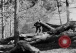 Immagine di Armi a mano United States USA, 1943, secondo 3 filmato di repertorio 65675046391