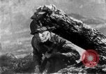Immagine di Armi a mano United States USA, 1943, secondo 6 filmato di repertorio 65675046391