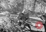 Immagine di Armi a mano United States USA, 1943, secondo 9 filmato di repertorio 65675046391
