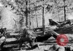 Immagine di Armi a mano United States USA, 1943, secondo 12 filmato di repertorio 65675046391