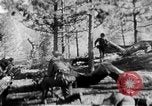 Immagine di Armi a mano United States USA, 1943, secondo 14 filmato di repertorio 65675046391