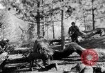 Immagine di Armi a mano United States USA, 1943, secondo 15 filmato di repertorio 65675046391