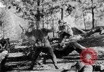 Immagine di Armi a mano United States USA, 1943, secondo 16 filmato di repertorio 65675046391