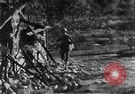 Immagine di Armi a mano United States USA, 1943, secondo 11 filmato di repertorio 65675046392