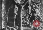 Immagine di Armi a mano United States USA, 1943, secondo 15 filmato di repertorio 65675046392