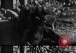 Immagine di Armi a mano United States USA, 1943, secondo 34 filmato di repertorio 65675046392