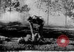 Immagine di Armi a mano United States USA, 1943, secondo 43 filmato di repertorio 65675046392
