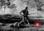 Immagine di Armi a mano United States USA, 1943, secondo 47 filmato di repertorio 65675046392