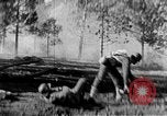 Immagine di Armi a mano United States USA, 1943, secondo 48 filmato di repertorio 65675046392