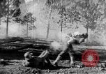 Immagine di Armi a mano United States USA, 1943, secondo 49 filmato di repertorio 65675046392
