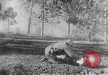 Immagine di Armi a mano United States USA, 1943, secondo 52 filmato di repertorio 65675046392
