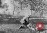 Immagine di Armi a mano United States USA, 1943, secondo 53 filmato di repertorio 65675046392