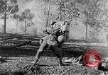 Immagine di Armi a mano United States USA, 1943, secondo 57 filmato di repertorio 65675046392