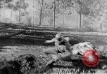 Immagine di Armi a mano United States USA, 1943, secondo 58 filmato di repertorio 65675046392