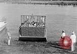 Standbild Higgins Boote Louisiana United States USA, 1941, aus Sekunde 43 historischem Filmmaterial Videoclip 65675046395