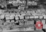 Immagine di Signal Corps United States USA, 1943, secondo 7 filmato di repertorio 65675046399
