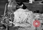 Immagine di Signal Corps United States USA, 1943, secondo 61 filmato di repertorio 65675046400