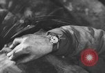 Immagine di Signal Corps United States USA, 1942, secondo 38 filmato di repertorio 65675046401