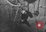 Immagine di Signal Corps United States USA, 1942, secondo 43 filmato di repertorio 65675046401